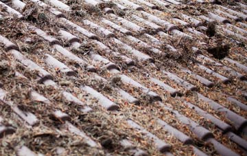 Eccleston Park roof cleaning companies